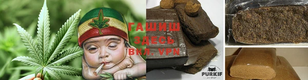 apvp Иннополис