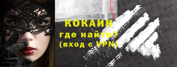 apvp Иннополис