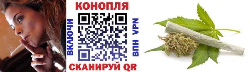 Купить где  Зверево  Канабис планчик 